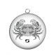 Pendentif Cabochon Argent - signe astrologie