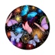 papillon