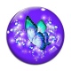 Cabochon Verre - papillon