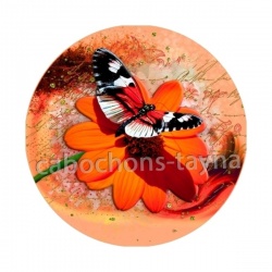 papillon