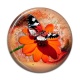 Cabochon Résine - papillon