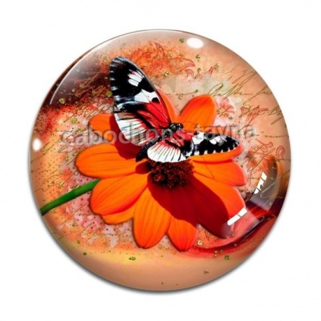 Cabochon Verre - papillon