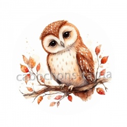 chouette