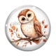Cabochon Verre - chouette