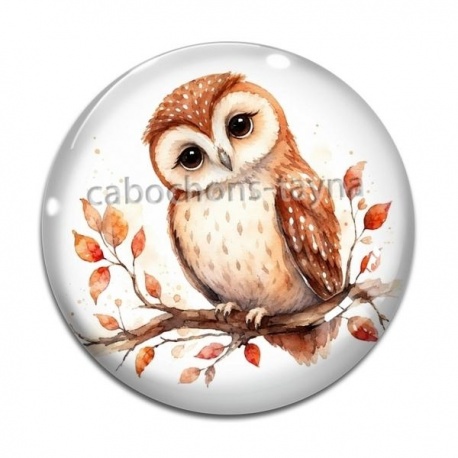 Cabochon Verre - chouette