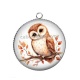 Pendentif Cabochon Argent - chouette