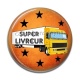 Cabochon Résine - super livreur