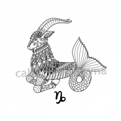 signe astrologie