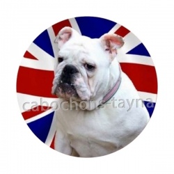 chien 
