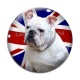 Cabochon Verre - chien 