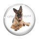 Cabochon Verre - chien