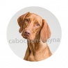 chien