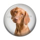 Cabochon Résine - chien