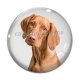 Cabochon Verre - chien