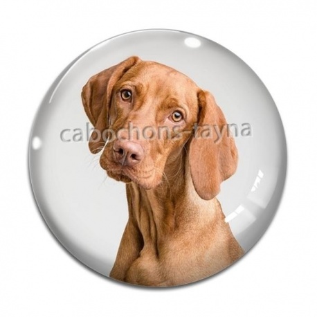 Cabochon Verre - chien