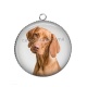 Pendentif Cabochon Argent - chien