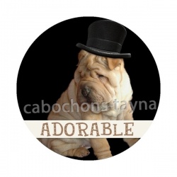 chien