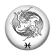 Cabochon Résine - signe astrologie