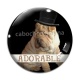 Cabochon Verre - chien