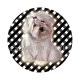 chien