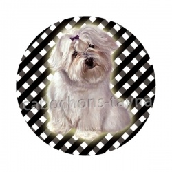 chien