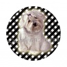 chien