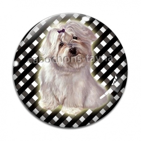 Cabochon Verre - chien