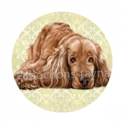 chien