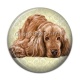 Cabochon Résine - chien