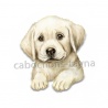 chien