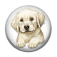 Cabochon Résine - chien