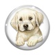 Cabochon Verre - chien