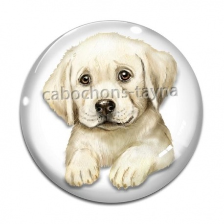 Cabochon Verre - chien