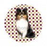 chien