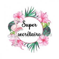 super secrétaire