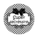 super secrétaire