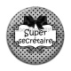 Cabochon Résine - super secrétaire