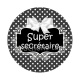 super secrétaire