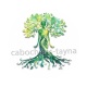 arbre de vie