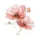 coquelicot