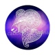 signe astrologie