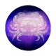 signe astrologie