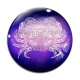 Cabochon Verre - signe astrologie