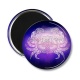 Magnet's - signe astrologie