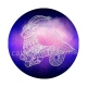 signe astrologie
