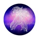 signe astrologie