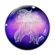 Cabochon Verre - signe astrologie