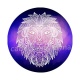 signe astrologie