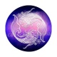 signe astrologie