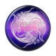 Cabochon Résine - signe astrologie